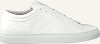 Witte NAT-2 Lage sneakers SLEEK LOW - medium