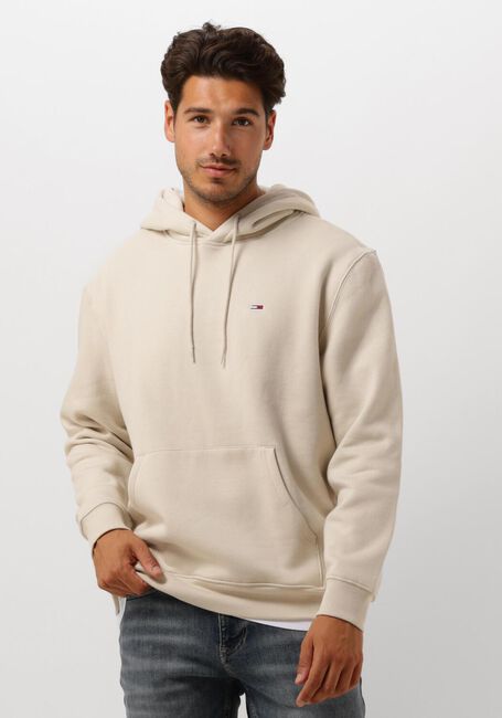 Beige TOMMY JEANS Truien/vesten TJM REG S FLAG HOODIE - large