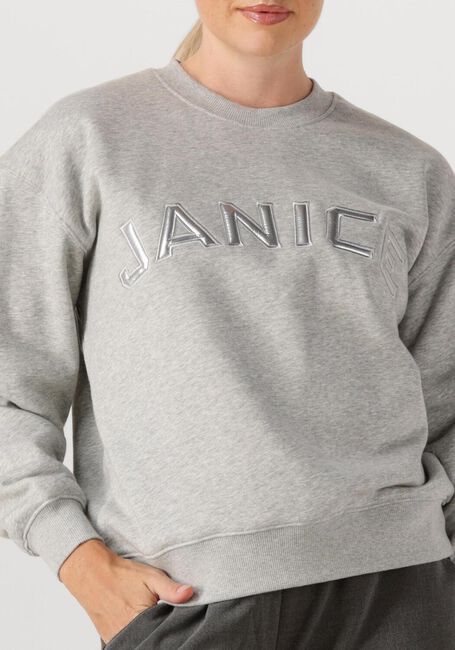 JANICE Chandail ANDY en gris - large