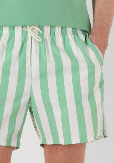 TOMMY HILFIGER Shorts de bain MEDIUM DRAWSTRING PRINT en vert - large