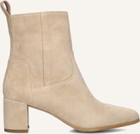 NOTRE-V 8543 NOTRE-V 8543 - medium