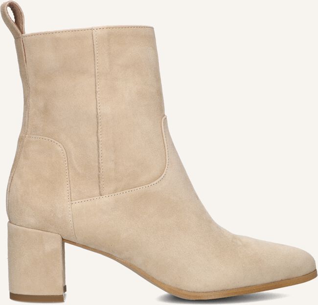 NOTRE-V 8543 NOTRE-V 8543 - large