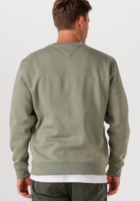 TOMMY JEANS Chandail TJM REG S FLAG CREW EXT en vert - large