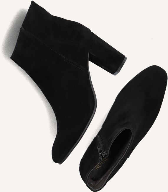 NOTRE-V DIANE-02 NOTRE-V DIANE-02 - large