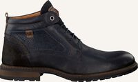 Blauwe AUSTRALIAN  CONLEY - medium