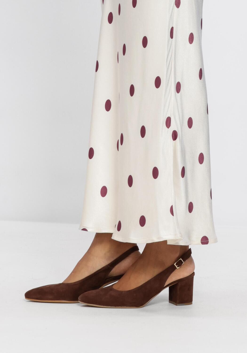 Bruine NOTRE-V  12613 - large