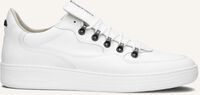 Witte FLORIS VAN BOMMEL Sneakers SFM-10089 - medium