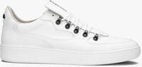 Witte FLORIS VAN BOMMEL Lage sneakers SFM-10089-02 - medium