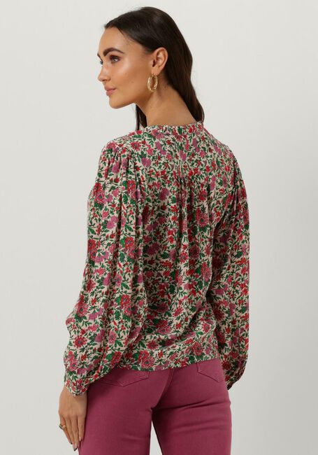 Roze MOLIIN  PILAR - large