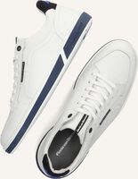 Witte FLORIS VAN BOMMEL Sneakers SFM-10202 Witte FLORIS VAN BOMMEL Sneakers SFM-10202 - medium