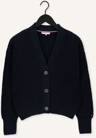 Donkerblauwe TOMMY HILFIGER Vest ORG COTTON BUTTON V-NK CARDIGAN Donkerblauwe TOMMY HILFIGER Vest ORG COTTON BUTTON V-NK CARDIGAN - medium