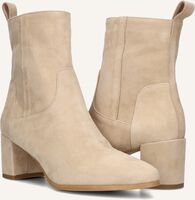 NOTRE-V 8543 NOTRE-V 8543 - medium