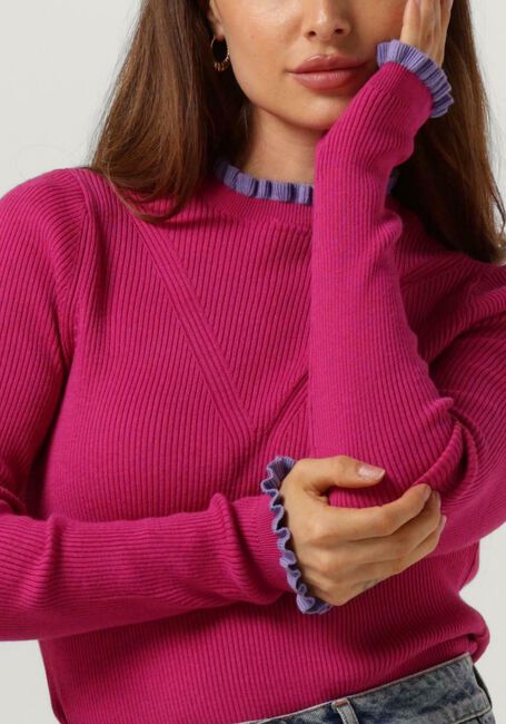 Roze POM AMSTERDAM Trui FIERY PINK - large