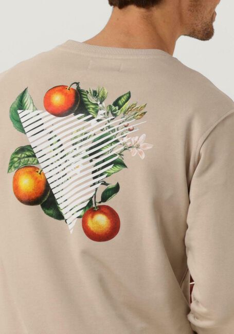 Zand PURE PATH Trui CREWNECK WITH FNT AND BACK PRINT - large