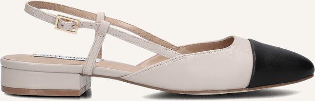 Zand STEVE MADDEN  BELINDA Zand STEVE MADDEN  BELINDA - large