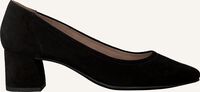 PAUL GREEN Escarpins 3806-006 en noir  PAUL GREEN Escarpins 3806-006 en noir  - medium