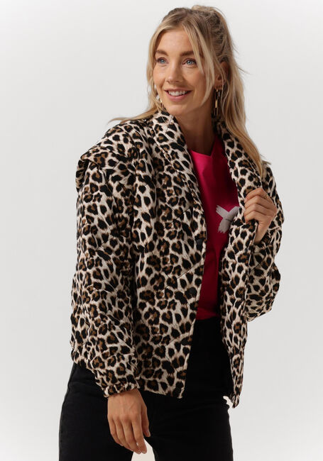 REFINED DEPARTMENT Jack JAY en marron - large
