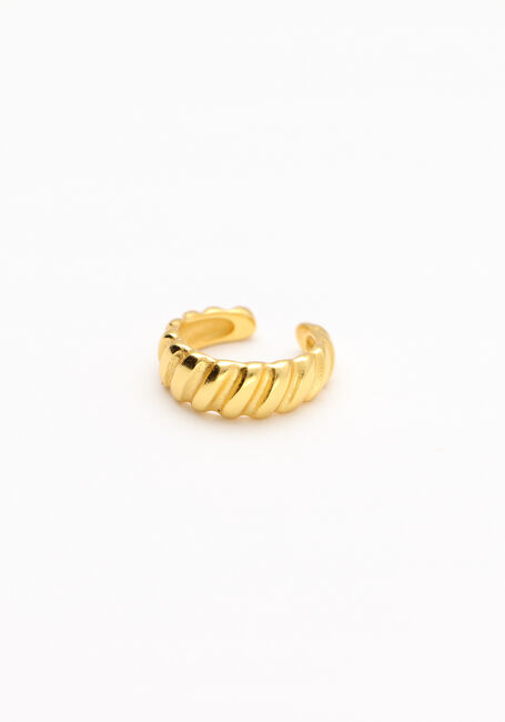  NOTRE-V Sieraad OMSS22-032 EARCUFF - large