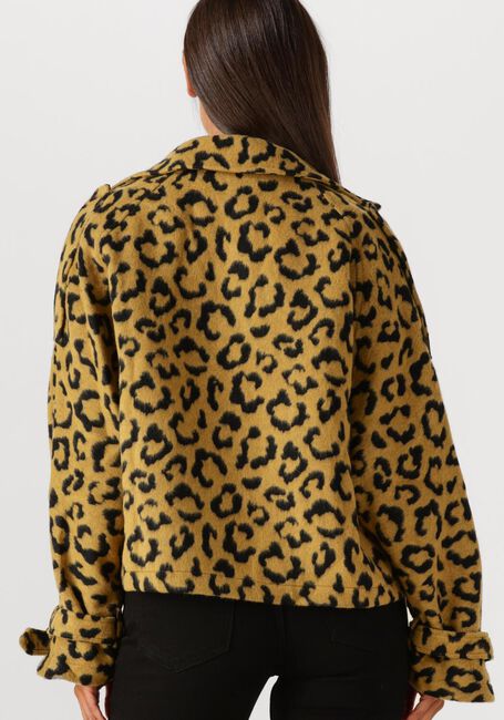 Oker AMAYA AMSTERDAM Jack LOTUS - large