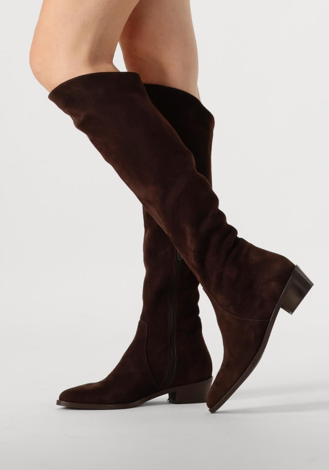 Bruine NOTRE-V  394492 - large