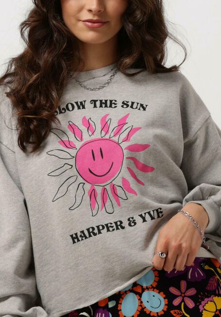 Grijze HARPER & YVE Sweater SMILEY-SW - large