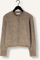 ENVII Gilet ENADA LS CARDIGAN 7216 en taupe ENVII Gilet ENADA LS CARDIGAN 7216 en taupe - medium