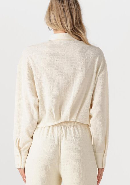 Witte REFINED DEPARTMENT  LYLOE - large