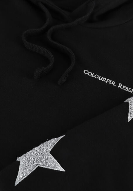 COLOURFUL REBEL Chandail STAR TOWELLING OVERSIZED HOODI en noir - large