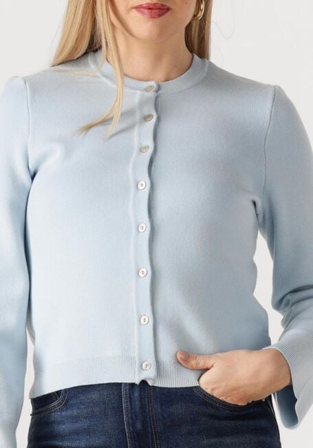 Blauwe Y.A.S. Vest YASEENA LS KNIT CARDIGAN - large