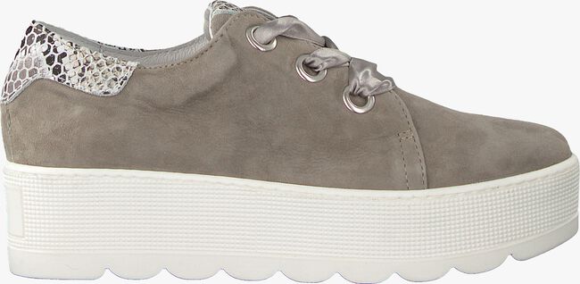 Taupe ROBERTO D'ANGELO Lage sneakers 605 - large
