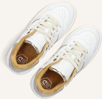 Witte CRUYFF JUNIOR Sneakers CAMPO LOW Witte CRUYFF JUNIOR Sneakers CAMPO LOW - medium
