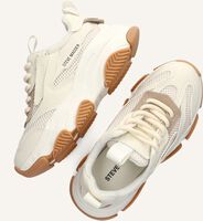 Beige STEVE MADDEN Sneakers JPOSSESSION Beige STEVE MADDEN Sneakers JPOSSESSION - medium