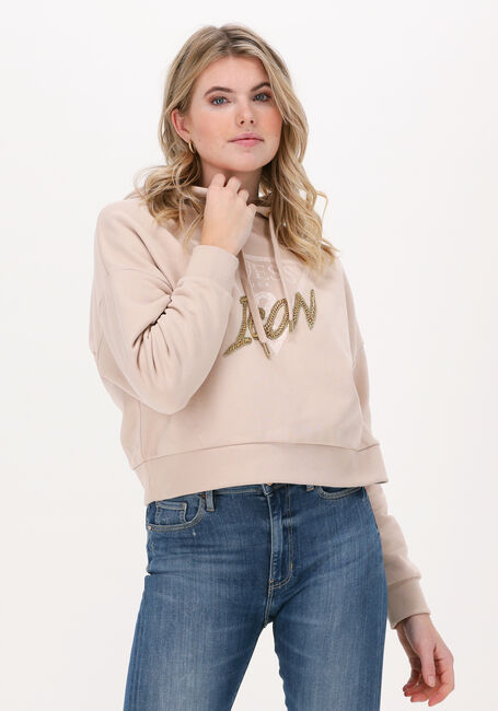 Zand GUESS Sweater ICON HOOD SWEATSHIRT - large