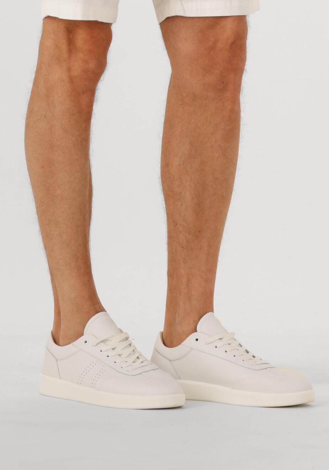 CLAY Baskets basses SHN3311 en beige - large