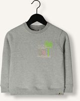Grijze DAILY7 Sweater SWEATER TEXTPRINT Grijze DAILY7 Sweater SWEATER TEXTPRINT - medium