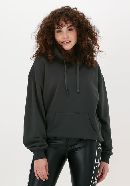 COLOURFUL REBEL Chandail BORN LUCKY EMBRO OVERSIZED HOO en gris - large