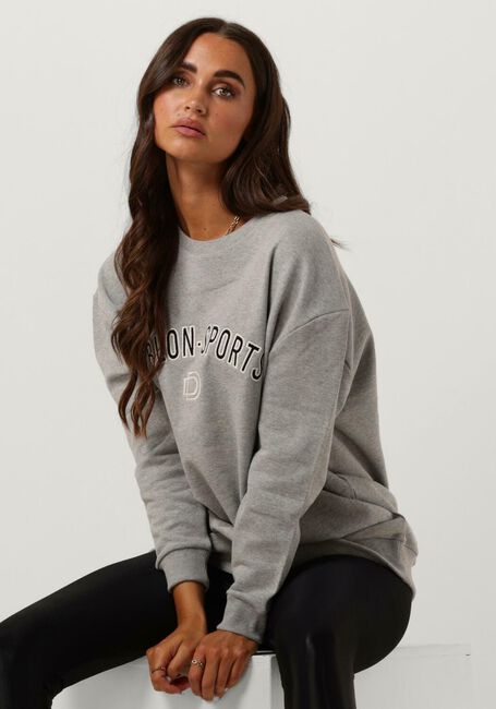 DEBLON SPORTS Pull GIGI en gris - large