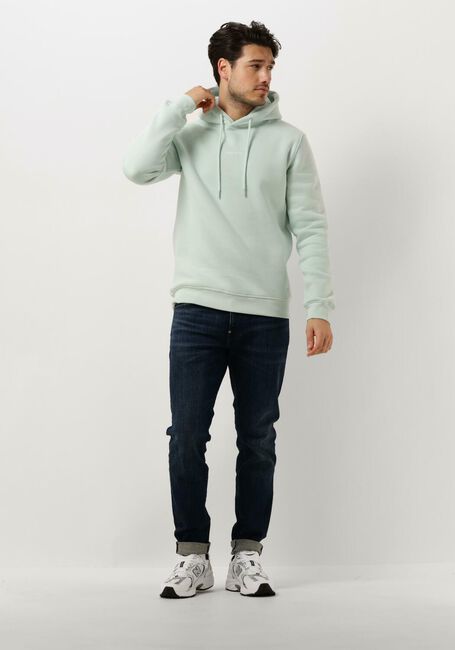 PURE PATH Pull HOODIE WITH FRONT AND TRIANGLE BACK PRINT Menthe - large