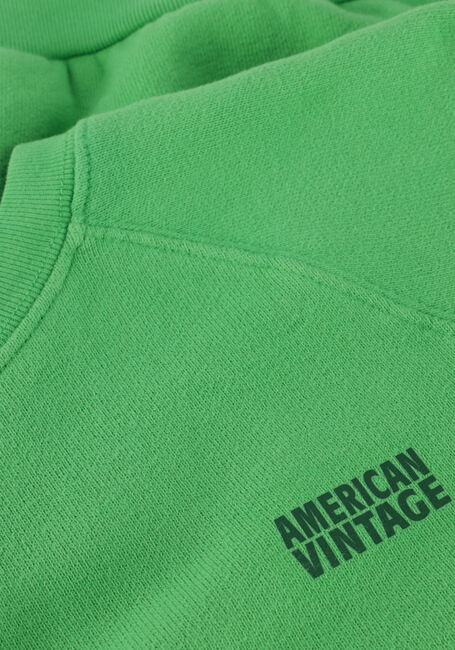 Groene AMERICAN VINTAGE Trui IZUBIRD - large
