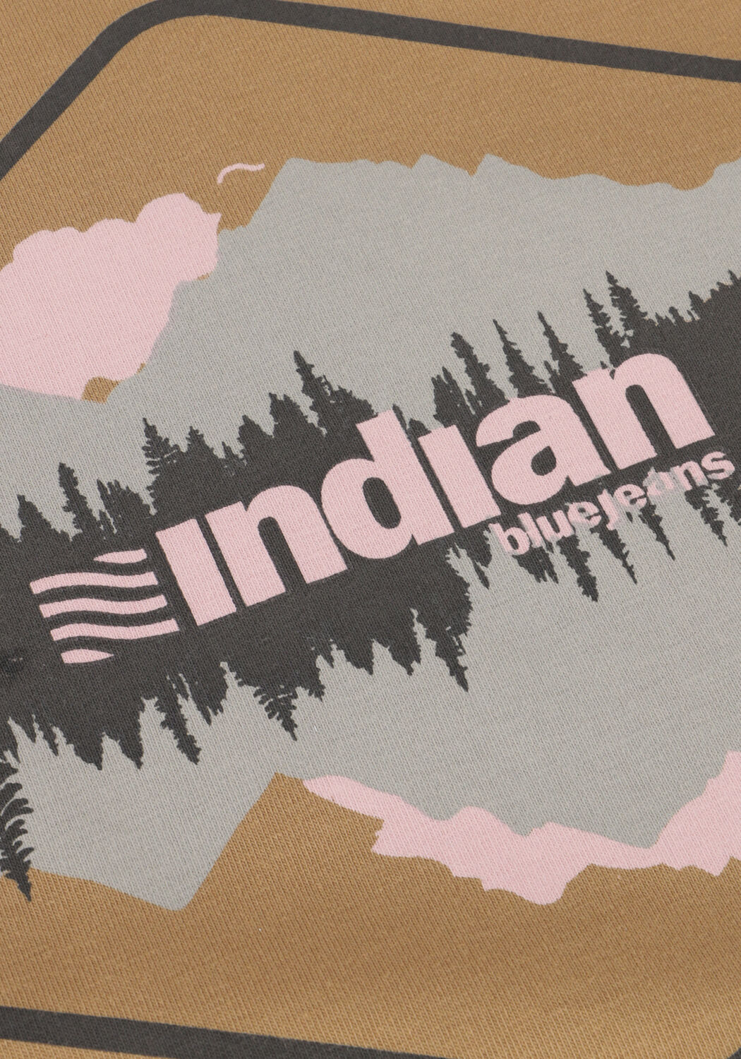 INDIAN BLUE JEANS T-shirt T-SHIRT CHEST PRINT en camel - large