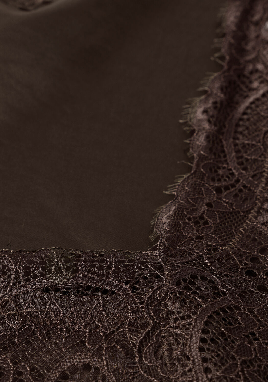 NEO NOIR Robe midi SORELLE LACE DRESS en marron - large