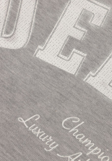 Grijze DEBLON SPORTS Sweater CIA SWEATER Grijze DEBLON SPORTS Sweater CIA SWEATER - large