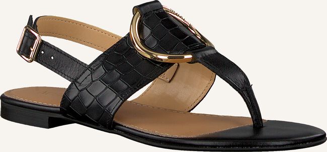 Zwarte NOTRE-V Sandalen 18553 Zwarte NOTRE-V Sandalen 18553 - large