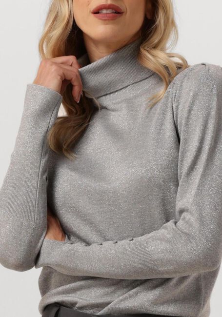 NUKUS SYLVIA PULLOVER Pulls & Gilets Gris clair - large