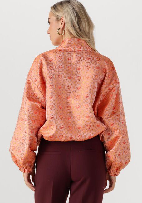 Multi STUDIO AMAYA Jack ALICE - large