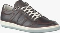 brown VAN LIER shoe 7302  - medium