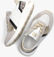 Witte PINOCCHIO Lage sneakers P1552 - medium