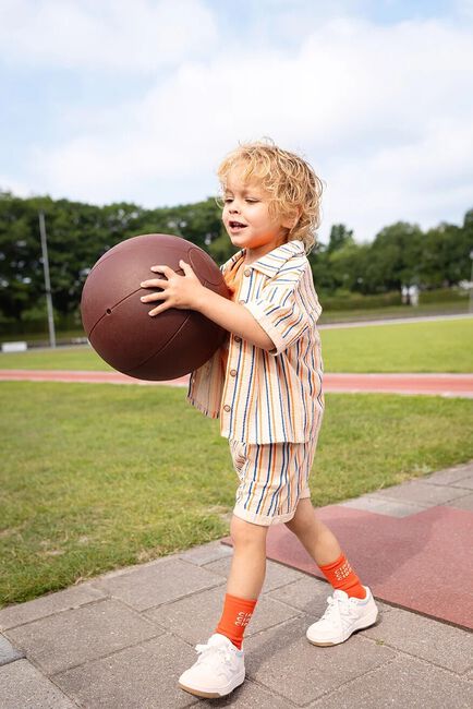 Multi Sproet & Sprout Korte broek CHINO SHORT - large