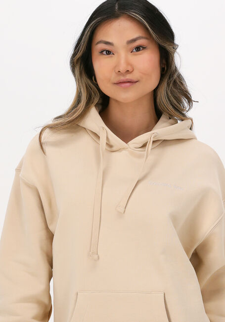 COLOURFUL REBEL Chandail GOLDEN SOUL OVERSIZED HOODIE en beige - large