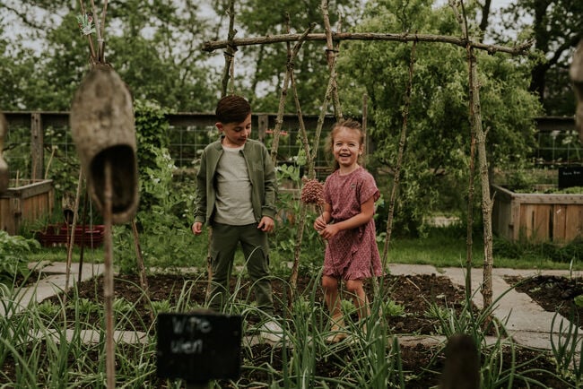 Groene KOKO NOKO T-shirt N58830 - large